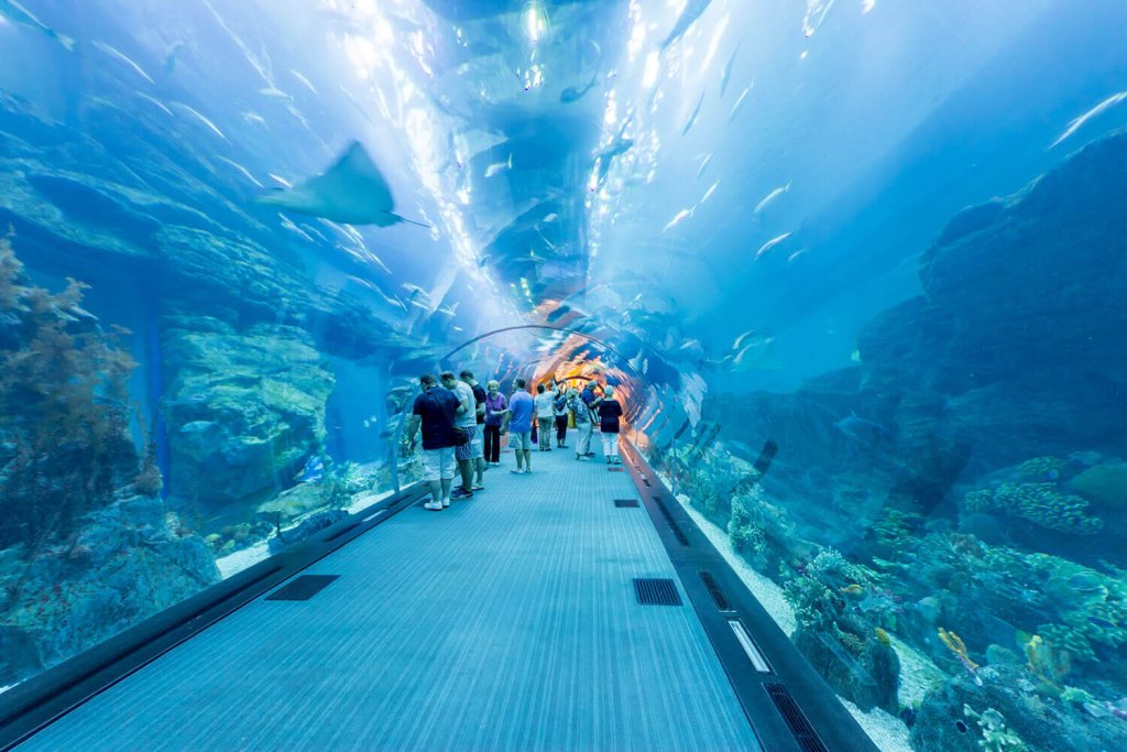 Tunel with fishes and coral of Dubai Aquarium and Underwater Zoo