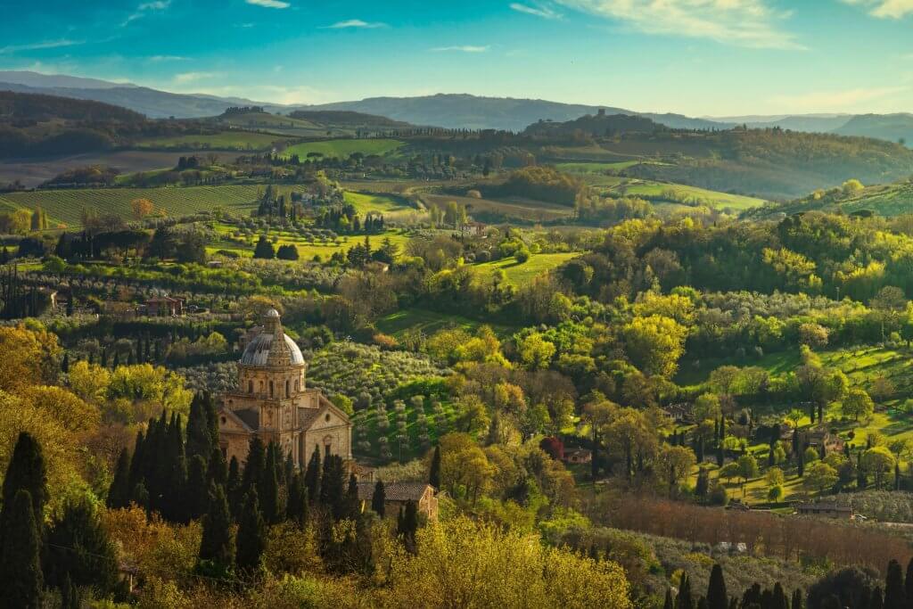 The green Tuscany landscape in the sunset.