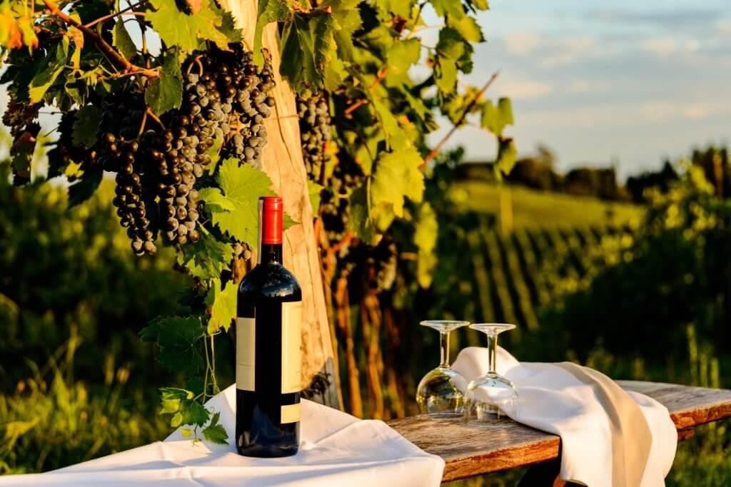 Bottle of wine and two glasses on a table outside with some grapes and vineyards in the background.