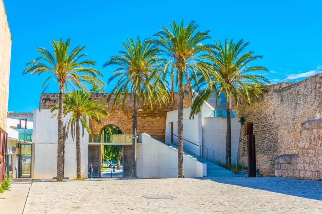 Museum Es Baluard from outside with four palms in the entrance.