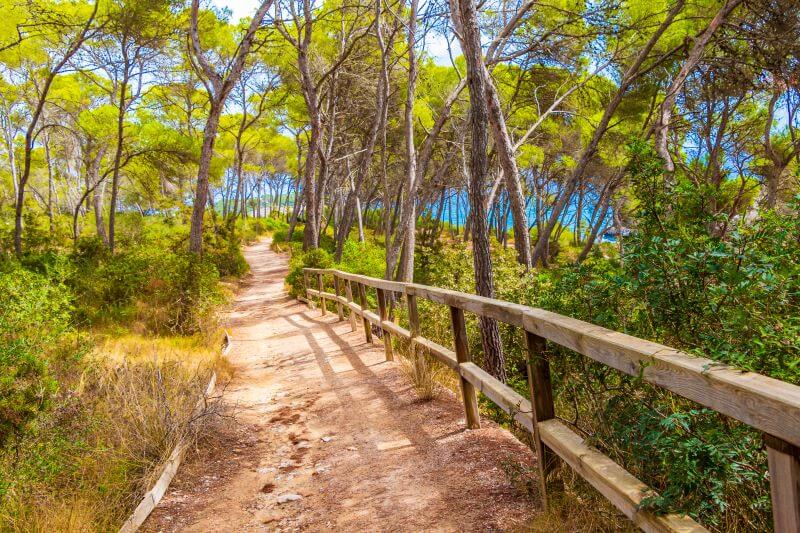 Parc natural Mondragó, national park in Mallorca