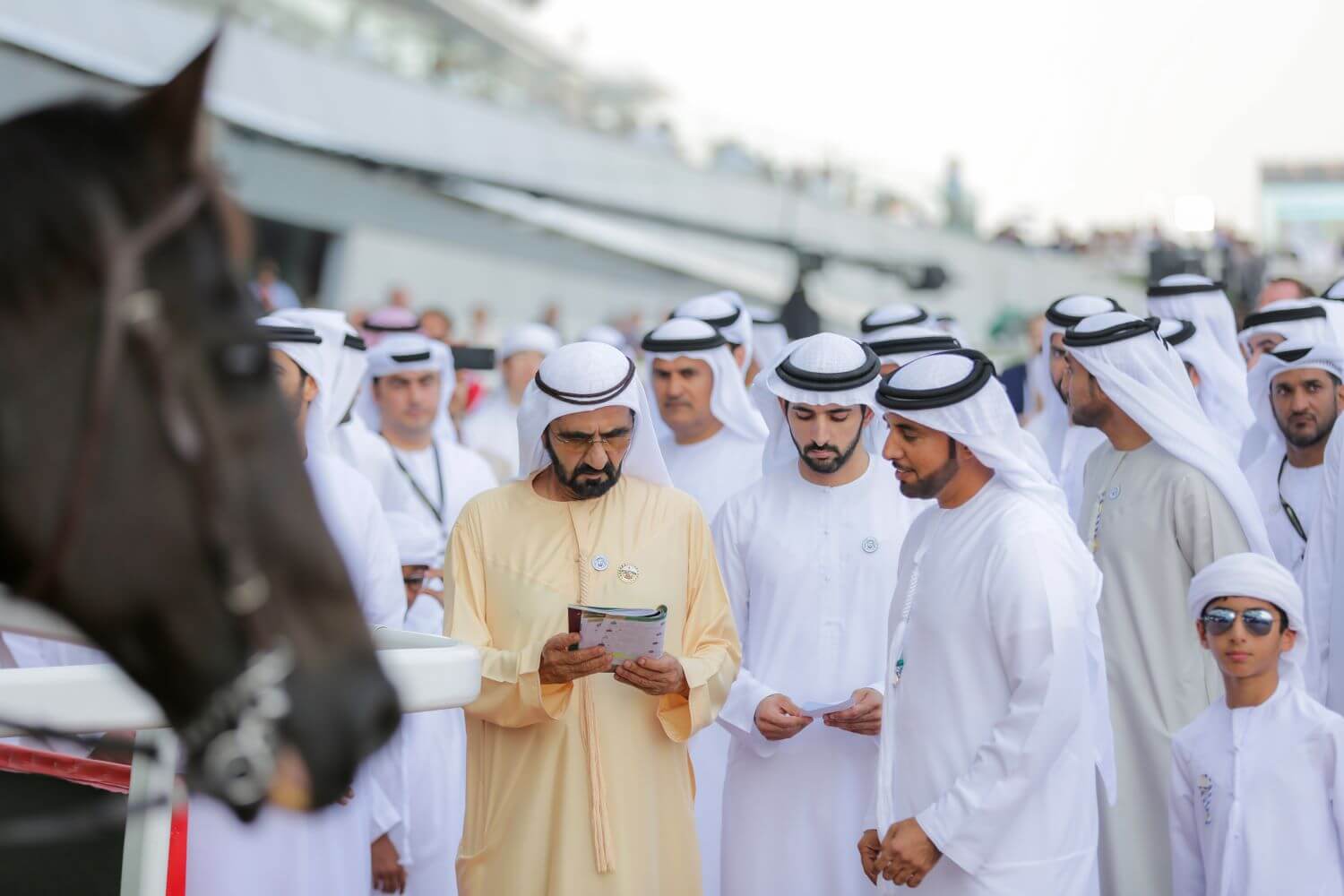 The Dubai World Cup is the richest horse race in the world, with prize money totalling 12 million US dollars.